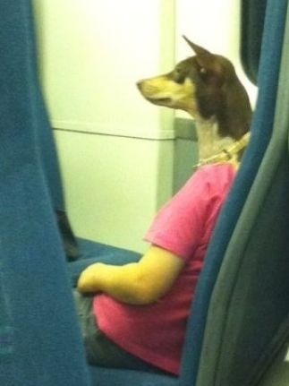 Dog passenger