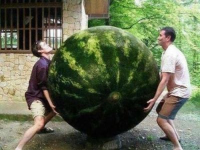 Lifting a giant watermelon